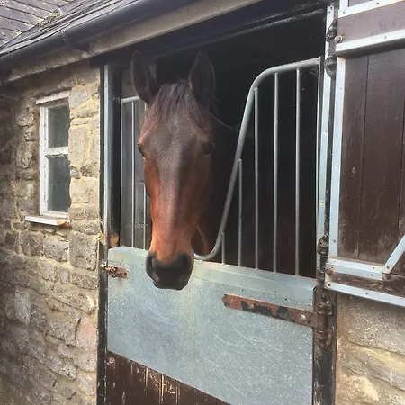 Lime Trees Farm-3